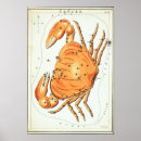 Suche nach krebs poster Zodiac