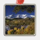 Suche nach espe ornamente Natur