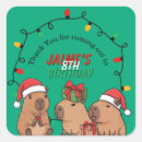 Suche nach capybara aufkleber Weihnachten