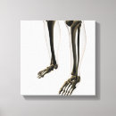 Suche nach menschlicher fuß leinwandbilder Gesundheit