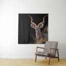 Suche nach kudu Natur