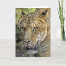 Suche nach liger karten Für alle