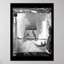 Suche nach reptilien poster Alligator