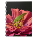 Suche nach zinnia kleine notizbücher Für alle