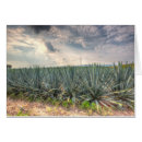 Suche nach destillation postkarten Mexiko