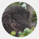 Suche nach baum hugger aufkleber Niedlich