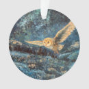 Suche nach schleiereulen ornamente Für alle