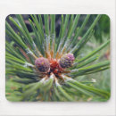 Suche nach immergrün mousepads Baum