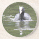 Suche nach betrug untersetzer Tierwelt