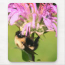 Suche nach hummelbiene mousepads Blume
