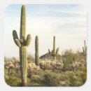 Suche nach reisebestimmungsorte aufkleber Usa