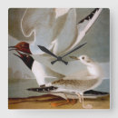 Suche nach audubon wanduhren Vogelkunst