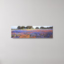 Suche nach texas leinwand leinwandbilder Usa