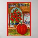 Suche nach wintertag poster Blume