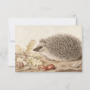 Suche nach pygmäen karten Igel