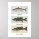 Suche nach öffnung poster Fischerei