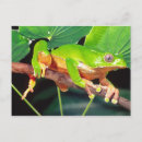 Suche nach fauna postkarten Farbenfroh