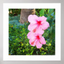 Suche nach hibiskus blumen poster Jede person