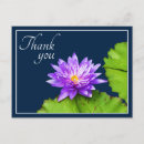 Suche nach seerosen karten Für sie