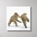 Suche nach wild lebende tiere leinwandbilder Quadrat