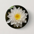 Suche nach wasserlilien buttons Für alle