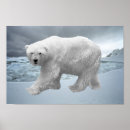 Suche nach polar bear kunst Tiere