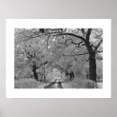 Suche nach landstraße poster Bäume