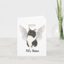 Suche nach katzen beileidskarten Für haustiere