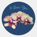 Suche nach orchid aufkleber Jede person