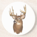 Suche nach weiß angebunden Whitetail