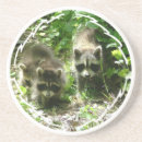 Suche nach waschbär untersetzer Tiere