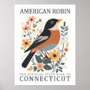 Suche nach amerikanisches rotkehlchen poster Vogelvogel