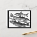 Suche nach fischdruck Fischerei