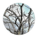 Suche nach kälte schneidebrettchen Natur