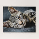 Suche nach zimt puzzle Jede person
