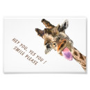Suche nach lustige giraffe poster Giraffen