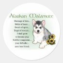 Suche nach alaskan malamute aufkleber Haustiere