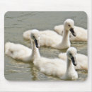 Suche nach schwimmen mousepads Weiß