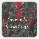 Suche nach rote beeren aufkleber Weihnachten