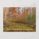 Suche nach oak park Natur