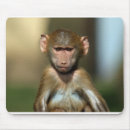 Suche nach pavian mousepads Affe