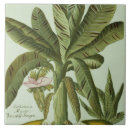 Suche nach vegen fliesen Pflanzen
