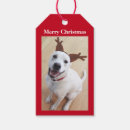 Suche nach welpe geschenkanhänger Jede person