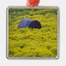 Suche nach baltisch ornamente Europa