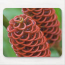Suche nach ingwer mousepads Blume