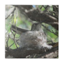 Suche nach kolibri fliesen Für alle