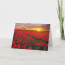 Suche nach holland karten Blume