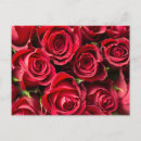 Suche nach print on demand postkarten Design online