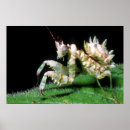 Suche nach alon poster Adapt