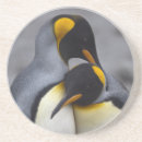 Suche nach penguin untersetzer Vögel